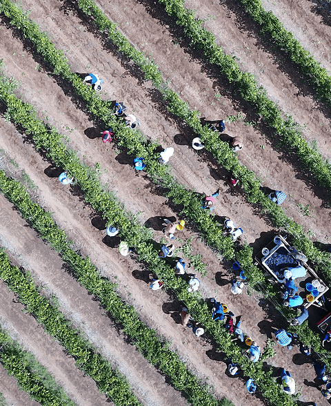 DJI_0024 1